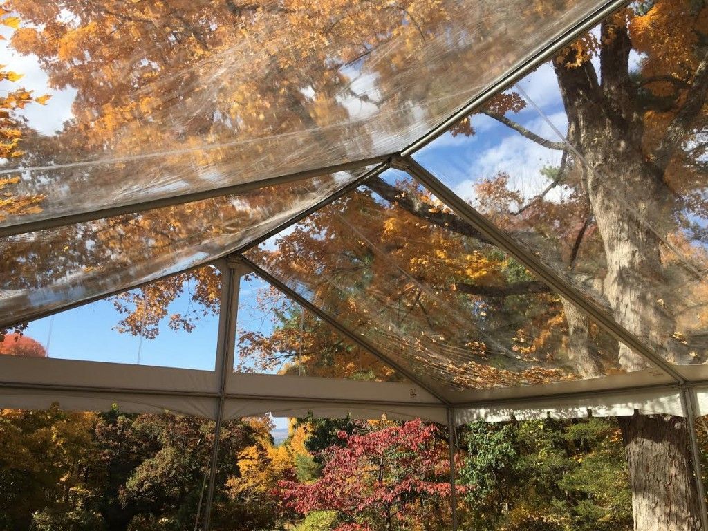 a clear tent with a tree in the background