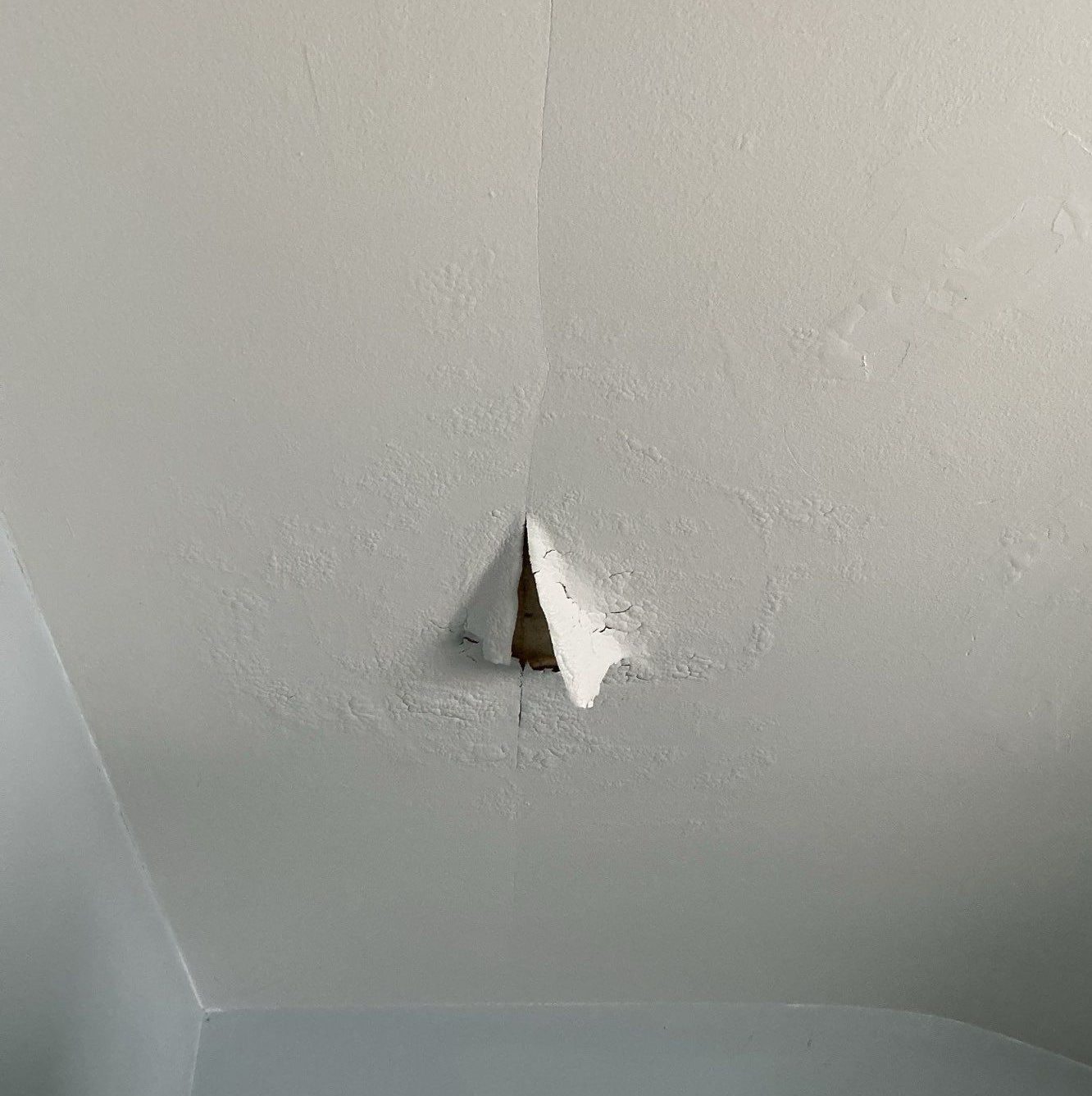 White ceiling with a triangular paint peel in the corner, revealing the interior.