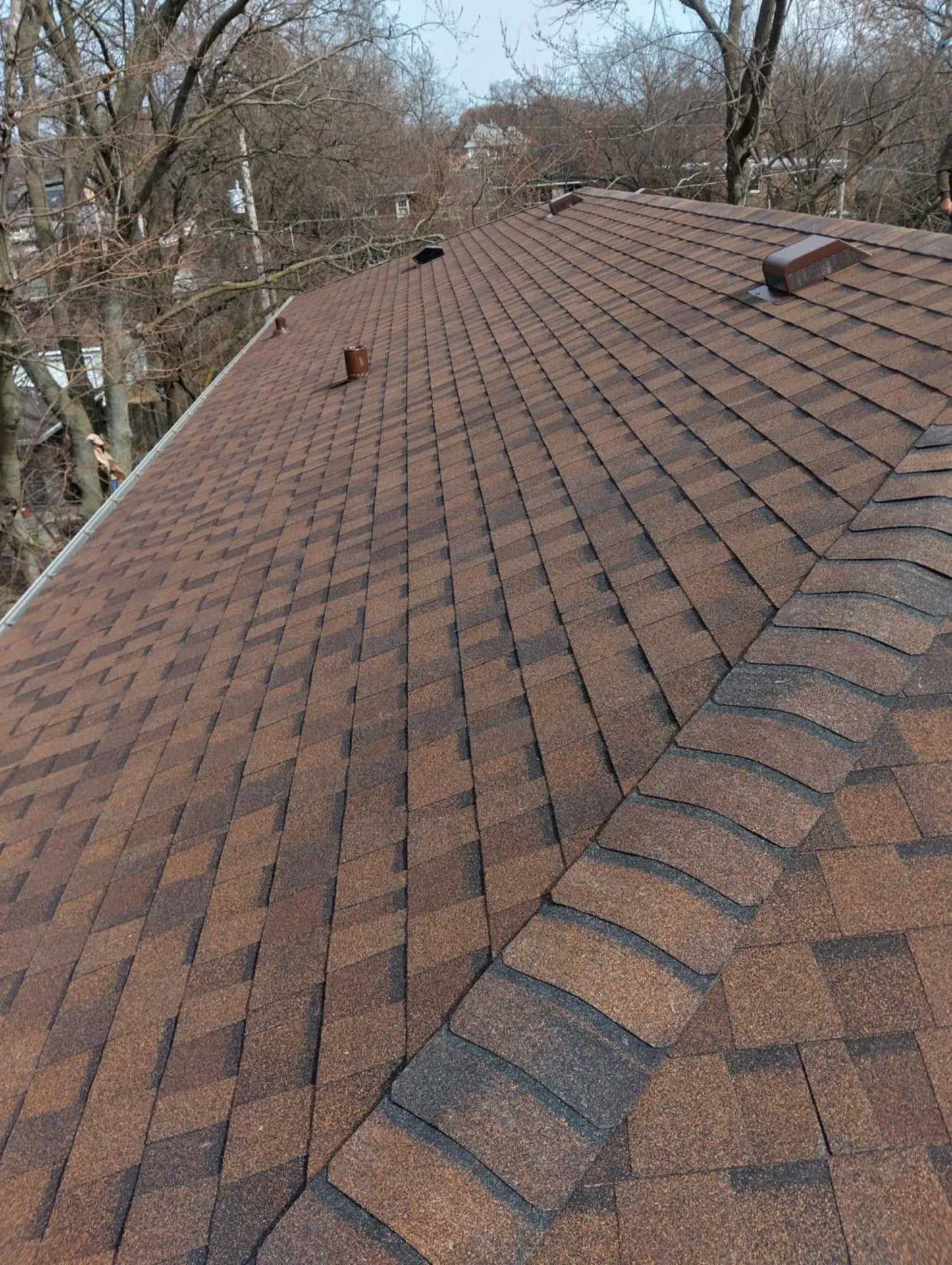 Brown shingle roof with various dark brown vents and a tree-lined background.