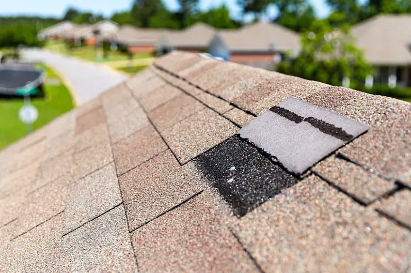 Damaged asphalt shingle on a residential roof, exposing underlayment.