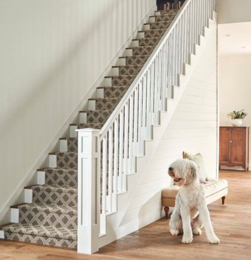 A dog sitting on a bench next to a staircase
