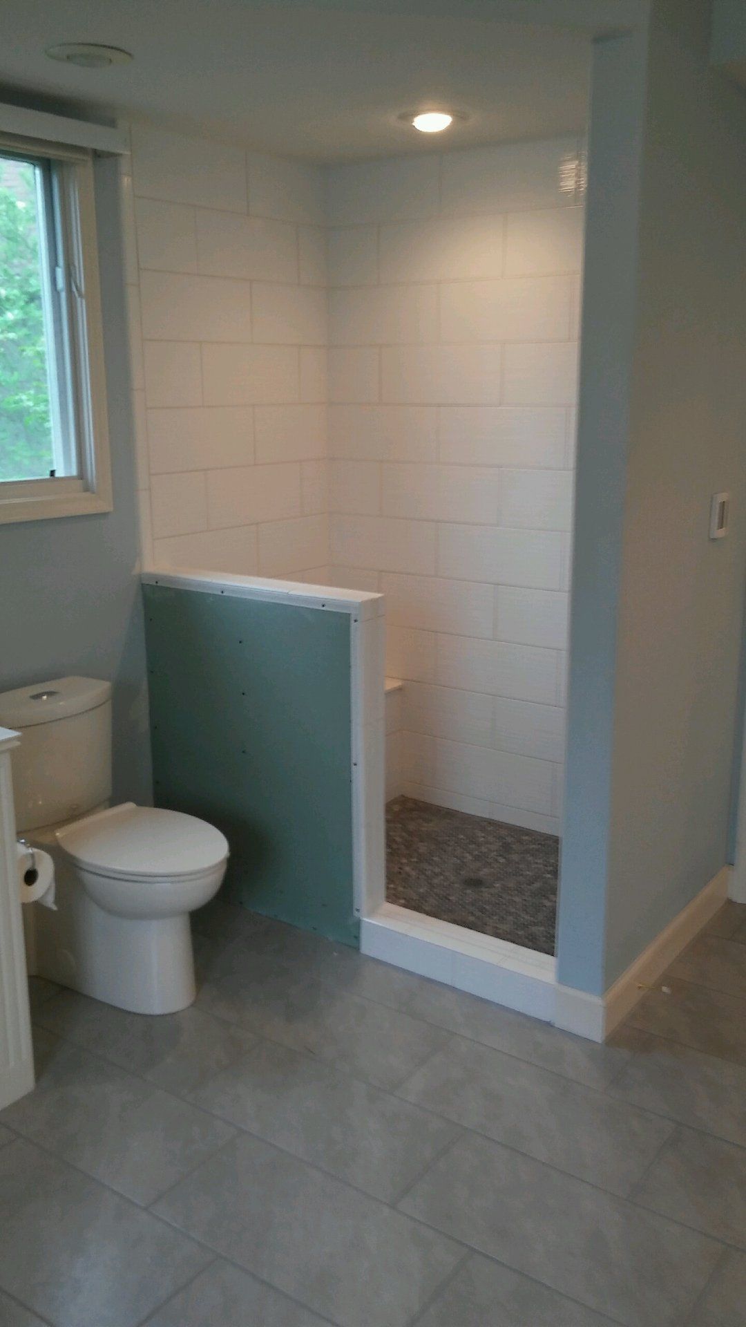 A bathroom with a toilet and a walk in shower.