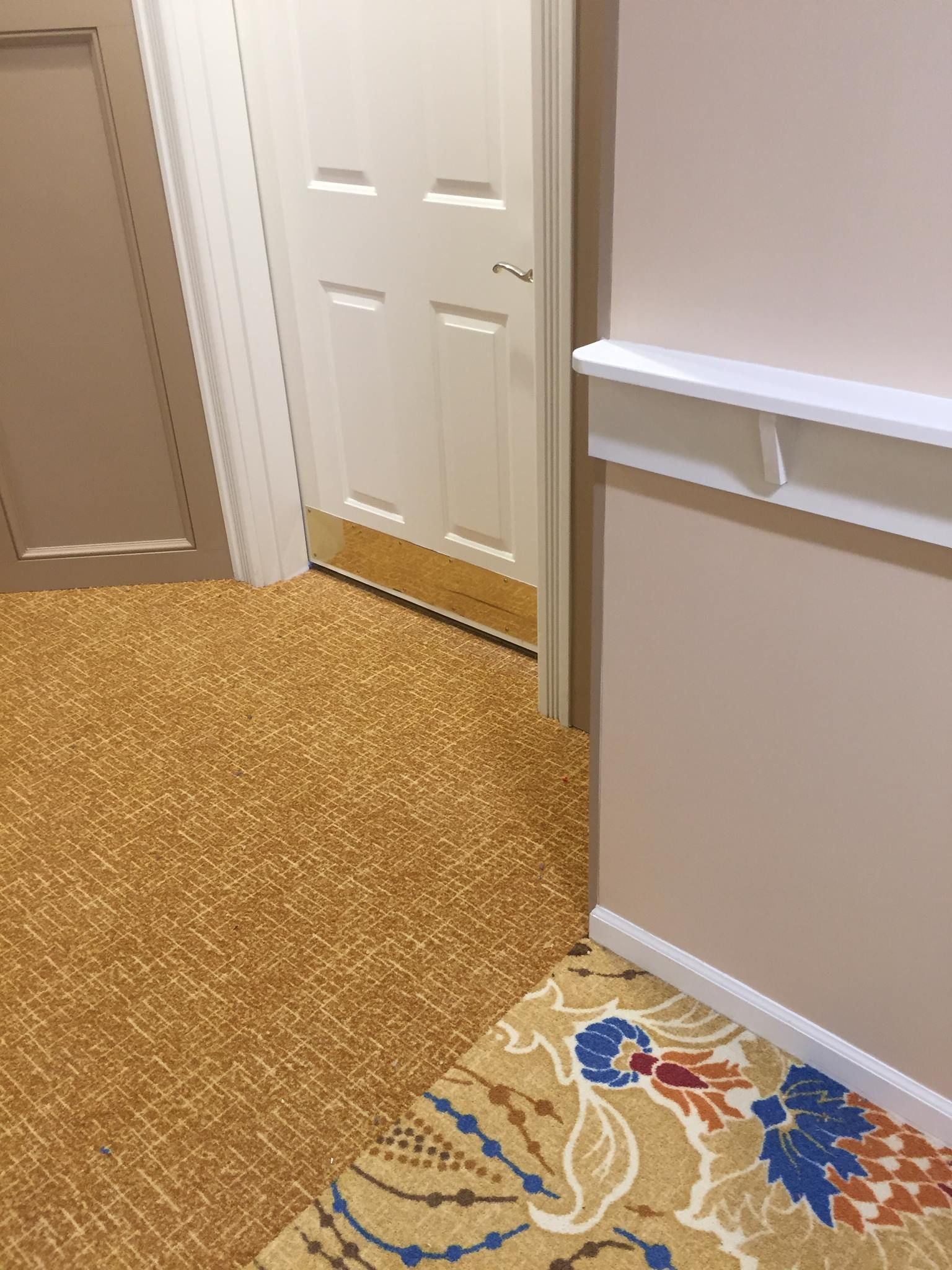 A hallway with a door and a rug on the floor.