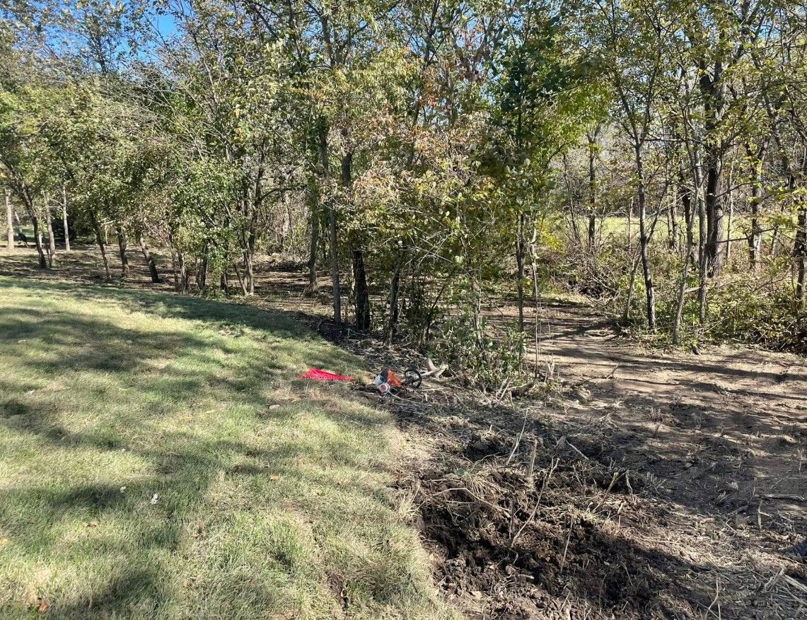 Grassy area with trees in the background under a blue sky; some red flags are visible.