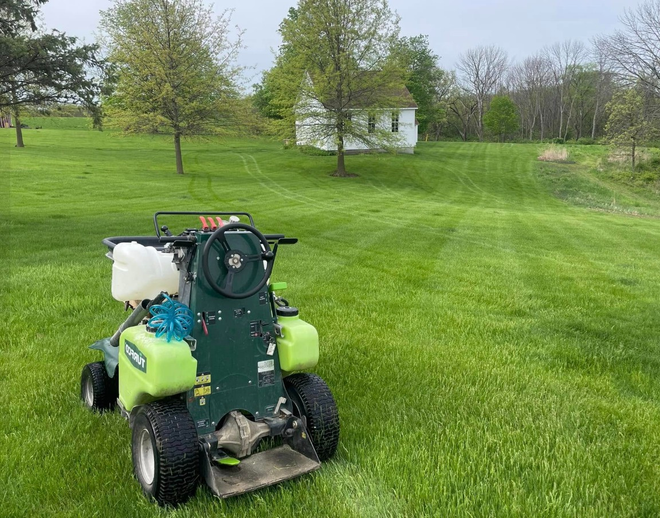 Person using a hedge trimmer to trim a hedge outdoors.