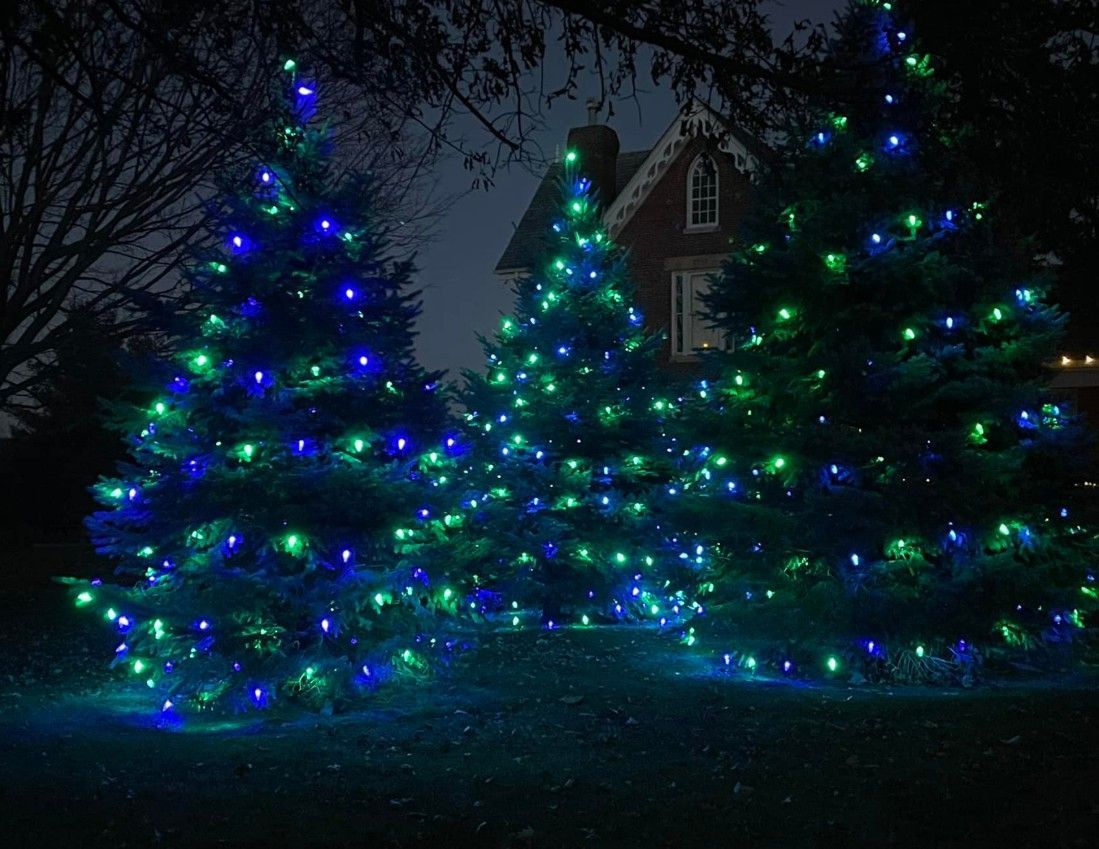 Three evergreen trees decorated with bright blue and green holiday lights at night, with a house visible in the background.