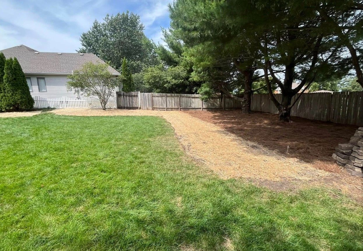 Backyard with green grass, mulch path, and a wooden fence under a blue sky.