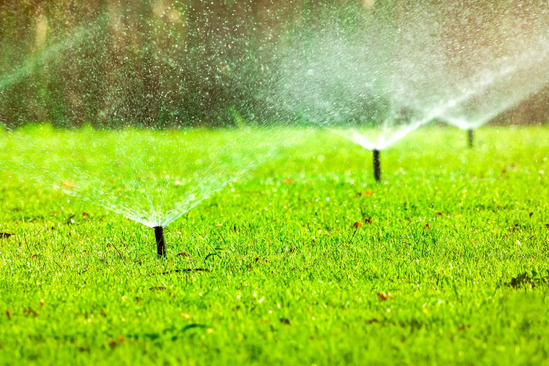 Sprinklers spraying water on a vibrant green lawn.
