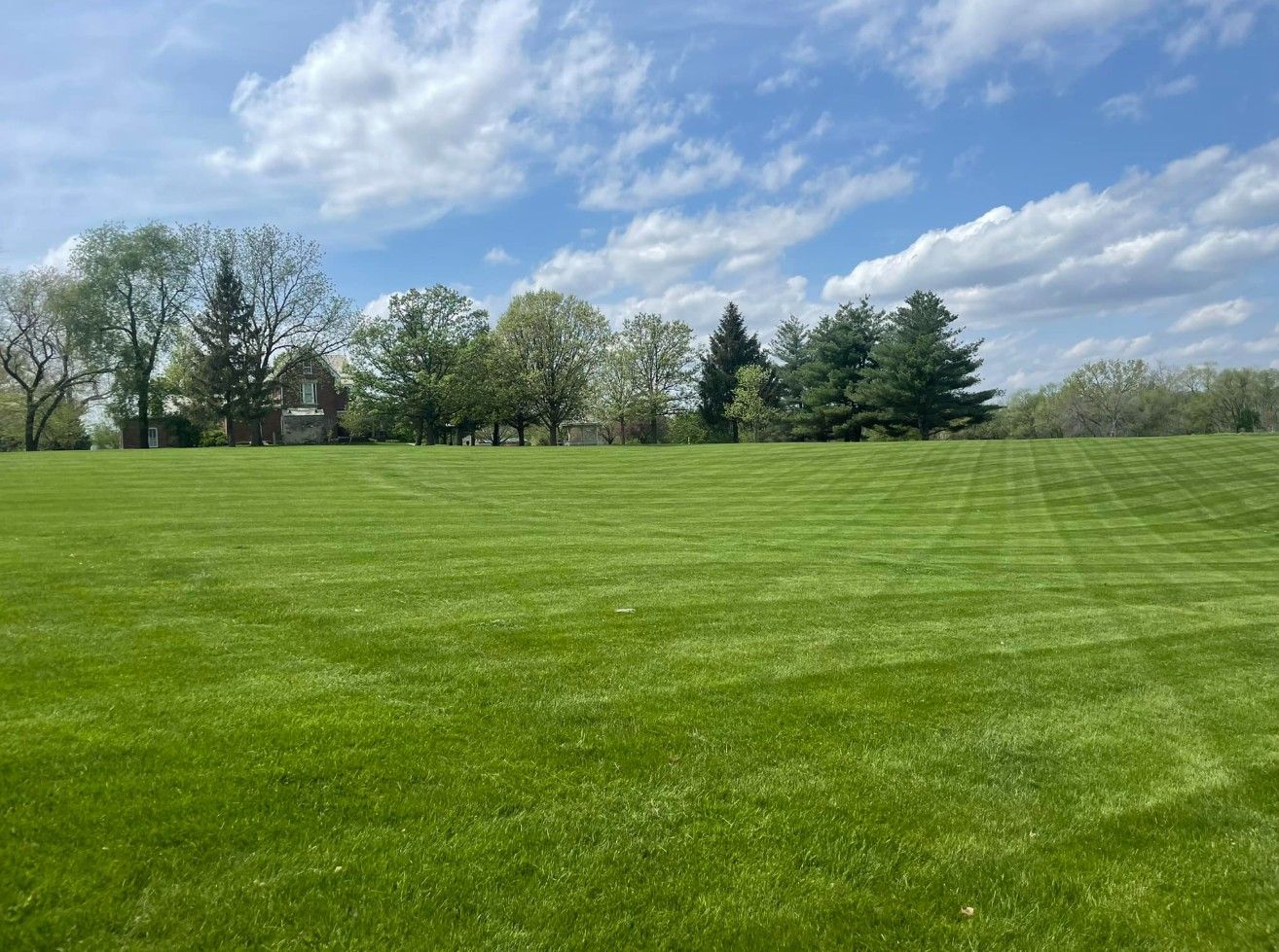 A wide, freshly mown green field under a blue sky with scattered white clouds, bordered by a line of mature trees.