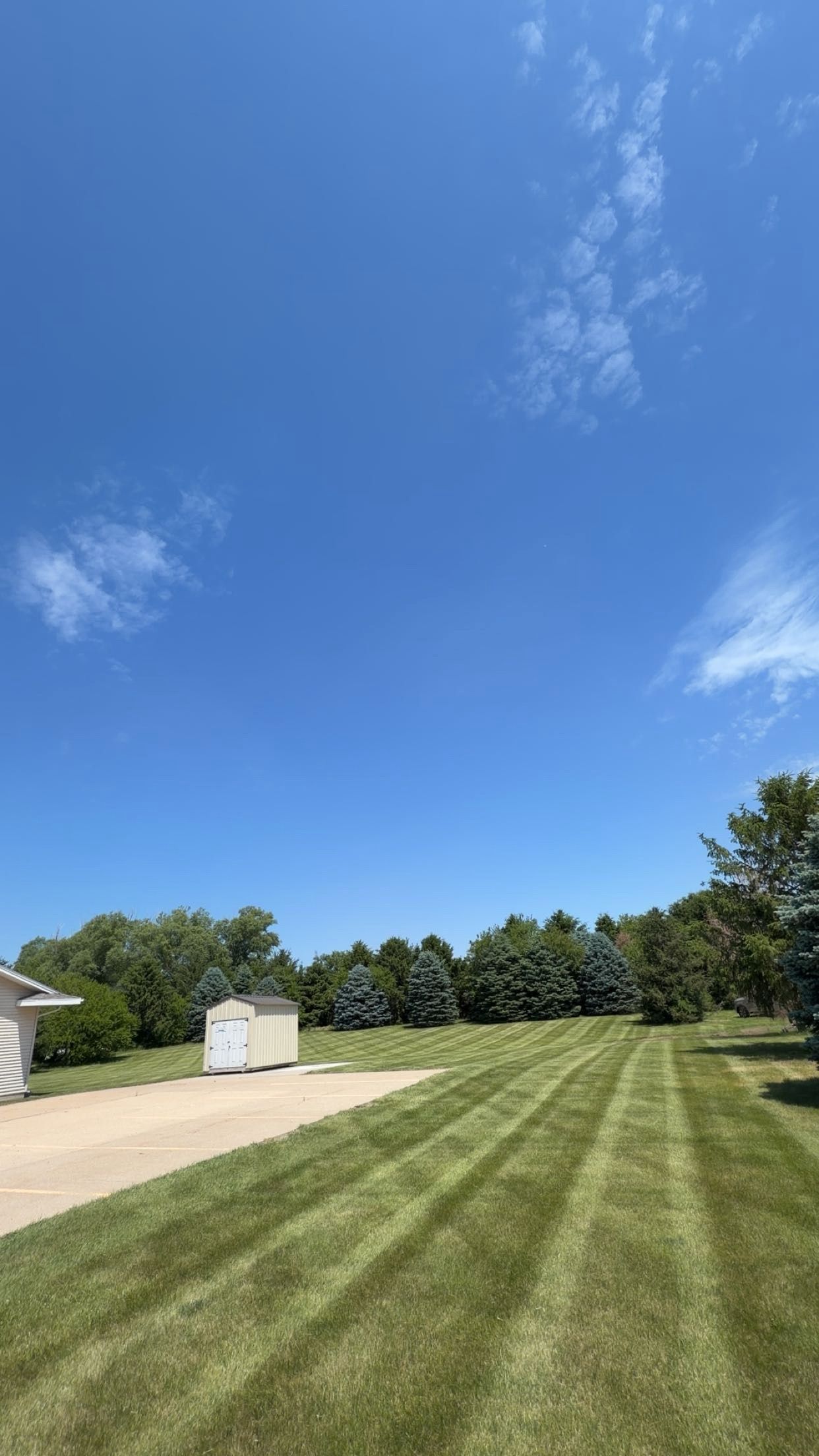 Wide grassy yard with mowed stripes, blue sky, trees, and a driveway beside a small shed.