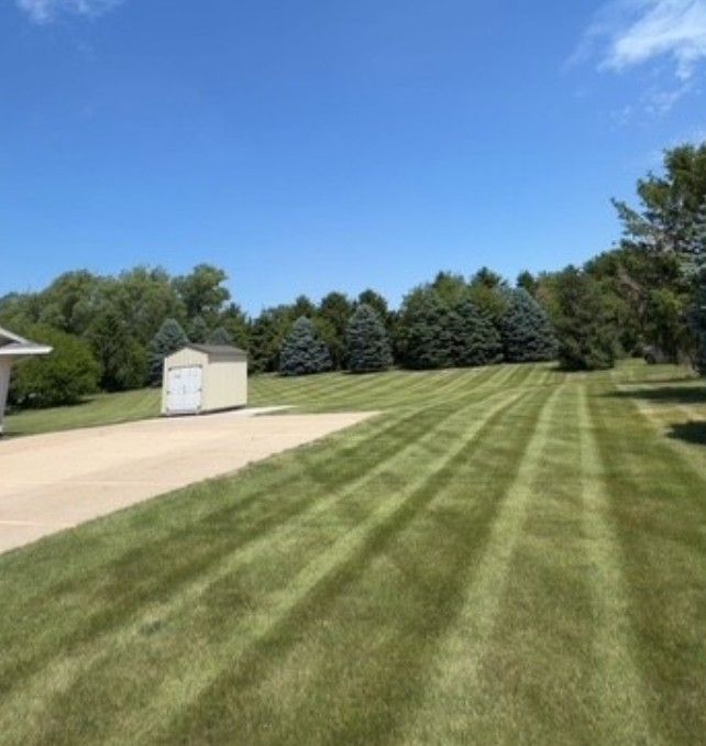 Sunlit suburban yard with striped green lawn, driveway, small shed, and trees under a blue sky