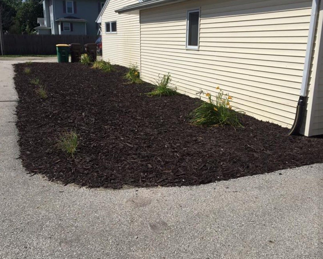 A house exterior with a paved driveway and a mulched garden bed containing several small, green shrubs.