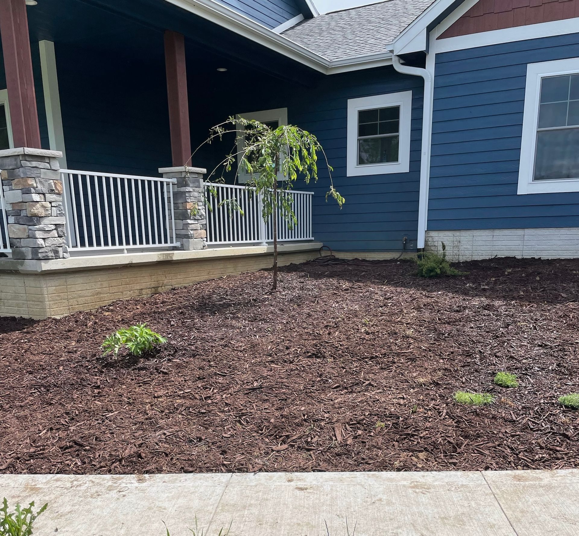 Blue house with white trim and porch, landscaped front yard with brown mulch and small plants.