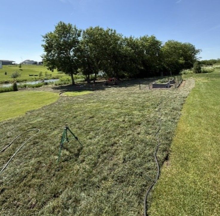 Sunny grassy field with freshly mowed strips, trees, and a small raised garden bed
