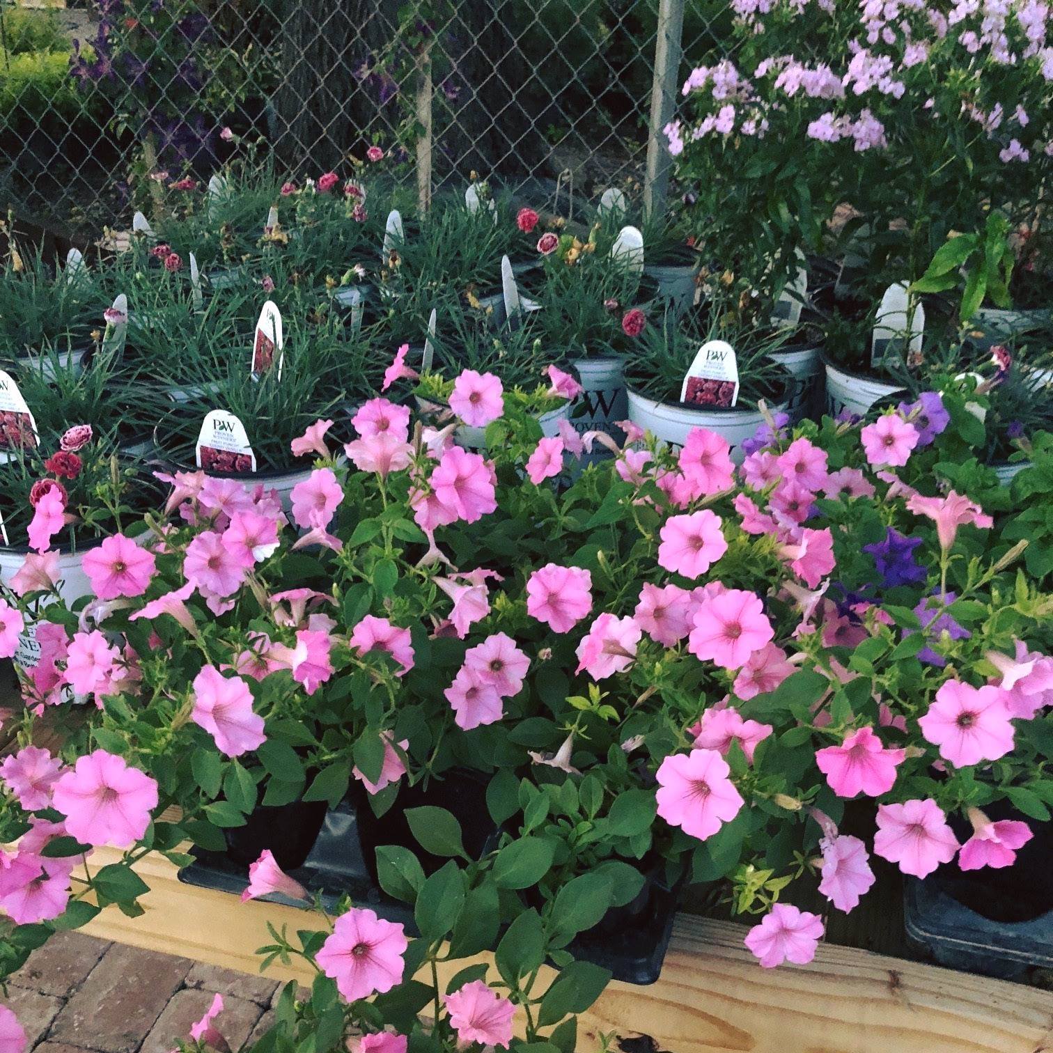 Superior Mulch &amp; Landscape Supply Mulch Murfreesboro, TN