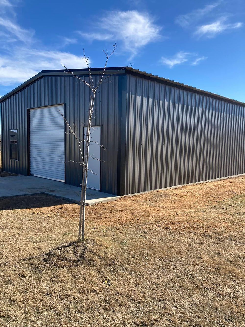 A large metal building with a garage door and a tree in front of it.