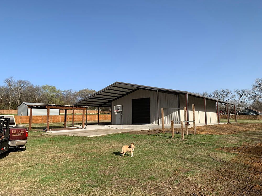 A dog is standing in front of a building in a field.