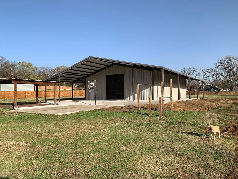 A dog is standing in front of a building with a basketball hoop.