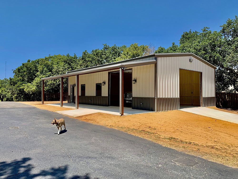 A dog is standing in front of a large building