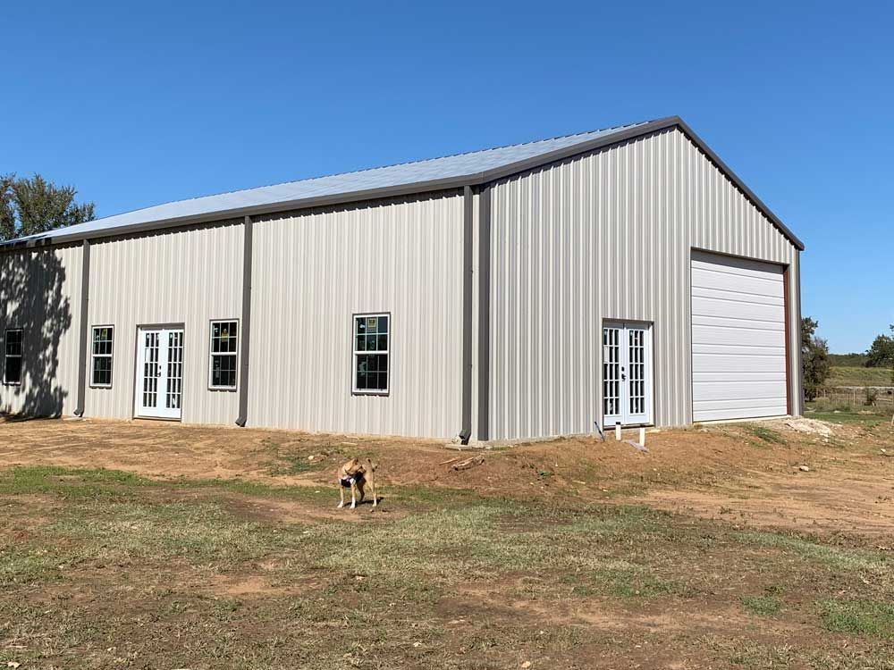 A dog is standing in front of a large metal building.