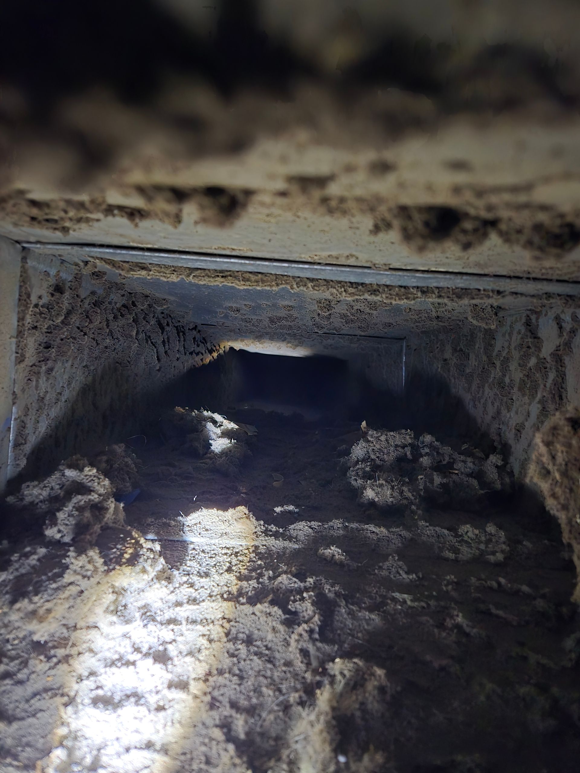 Interior of a rectangular air duct filled with thick layers of dark dust and debris.
