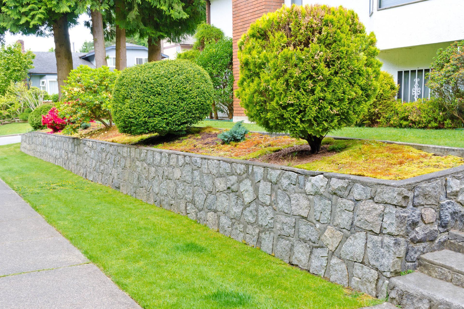 Landscaped front yard with trimmed shrubs, stone retaining wall, and sidewalk beside a house