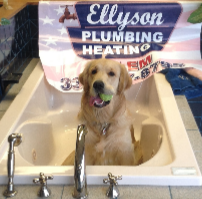 Dog sitting in site bath tub