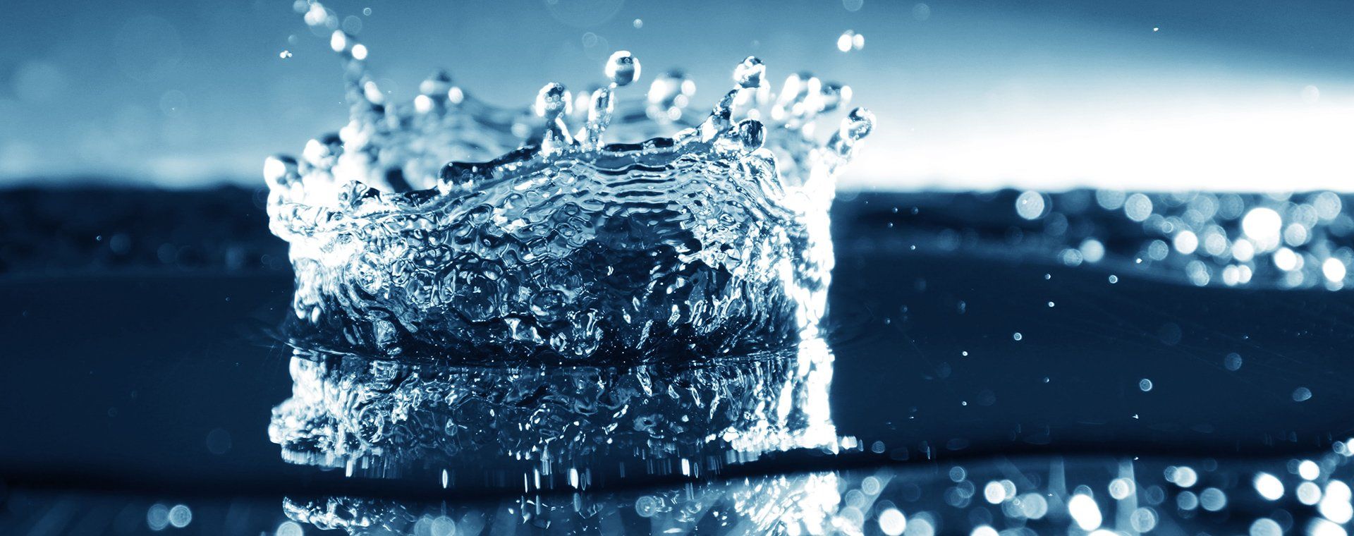 Aqua Backflow and Chlorination Backflow Prevention Riverside
