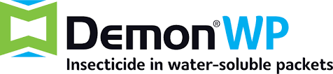 Demon WP