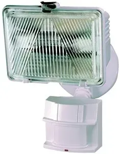Heathco Security Light, 120 VAC, Halogen, 250 W