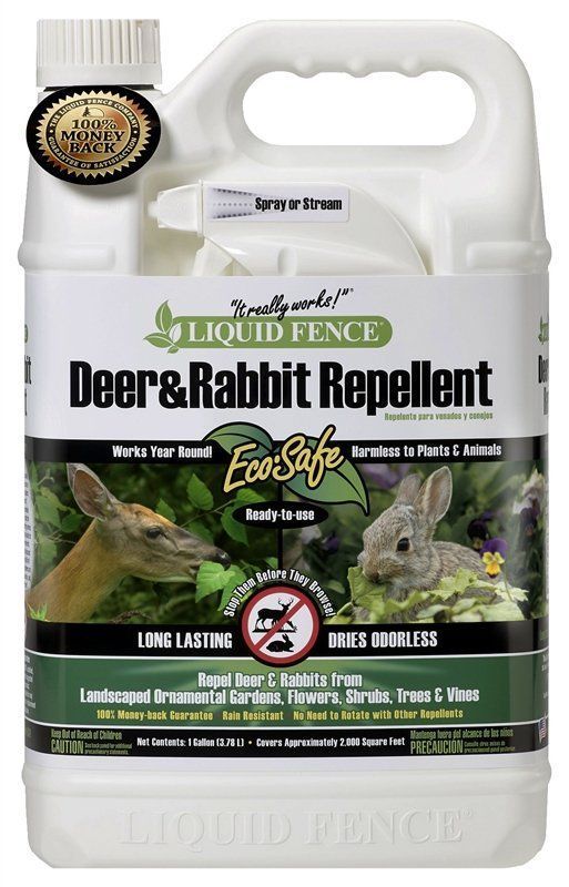 Rodent & Pest Control