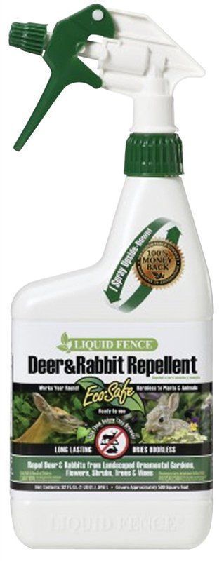 Rodent & Pest Control