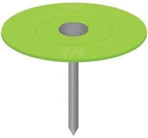 Plastic Cap Roof Nail 1 Inch