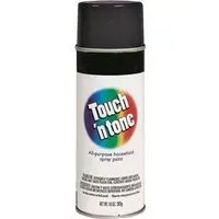 TOUCH 'N TONE General-Purpose Spray Paint, Gloss, Black, 10 oz Aerosol Can
