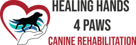 Healing Hands 4 Paws - Logo