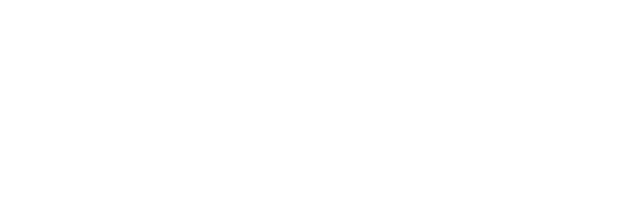 SRT Performance - logo