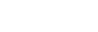 SRT Performance - logo