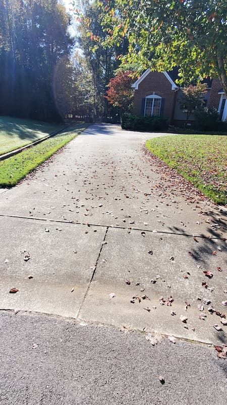 A driveway leading to a house with a lot of leaves on it.