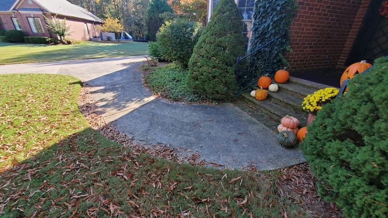 There are pumpkins and flowers on the sidewalk in front of the house.