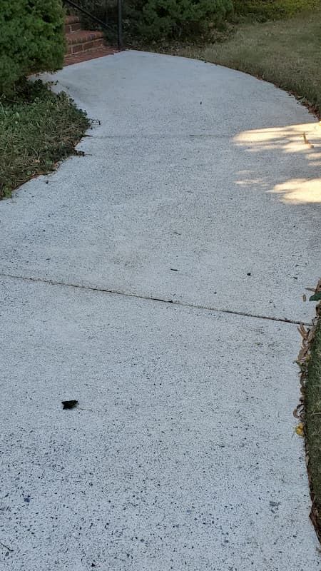 A concrete walkway leading to a house with trees on both sides.