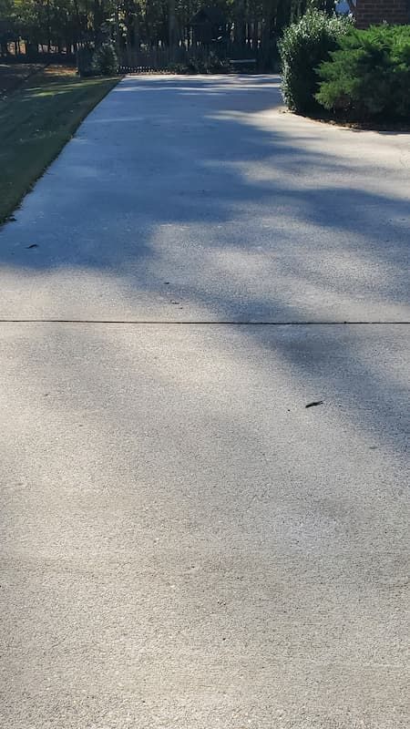 A concrete driveway leading to a house with trees on the side.