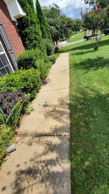 A sidewalk leading to a house with a lot of grass and bushes.