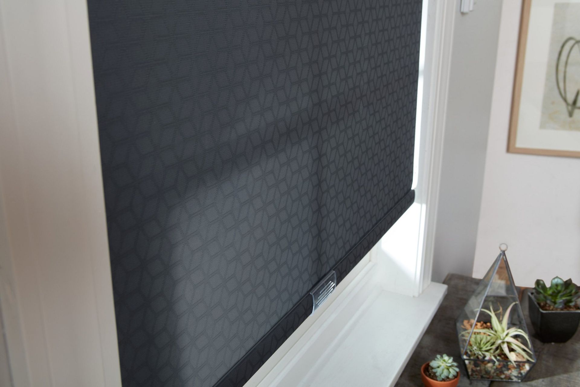 Roller and solar shades