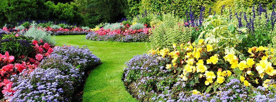 Green lawn full of colorful flowers