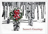 Birch Grove Holiday Cards