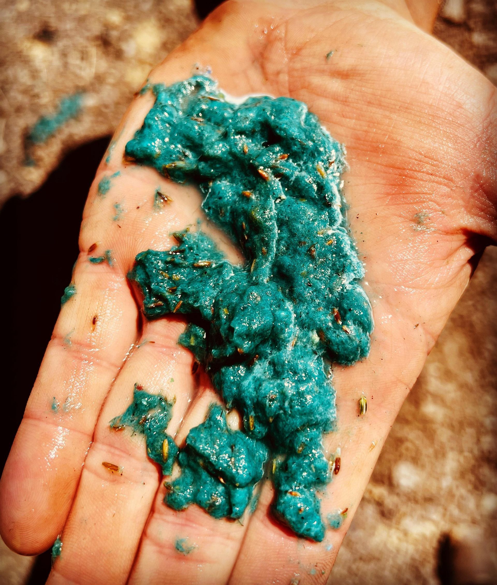 a closeup of hydroseeding material held in the palm of a hand