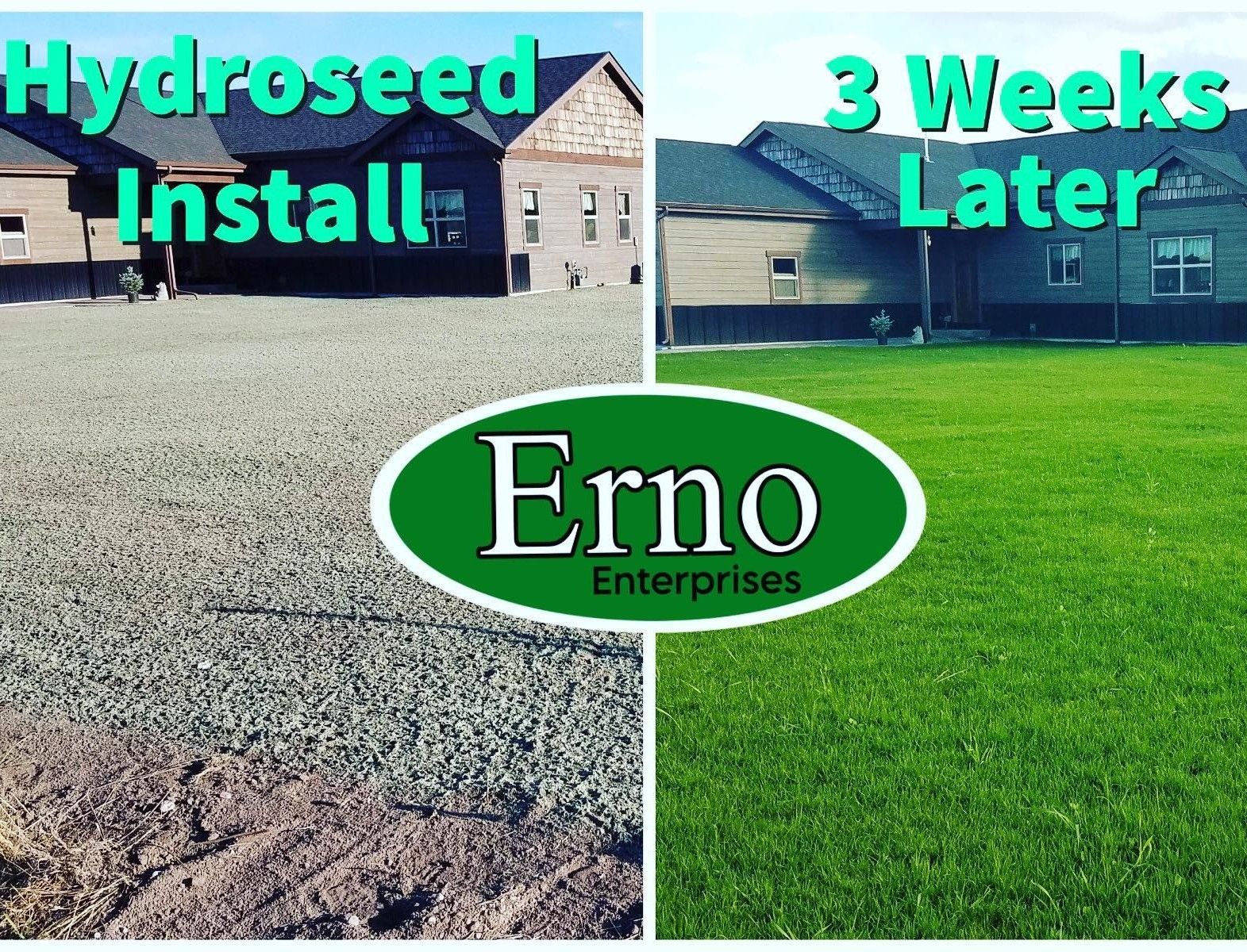 before and after views of a hydroseeded yard.