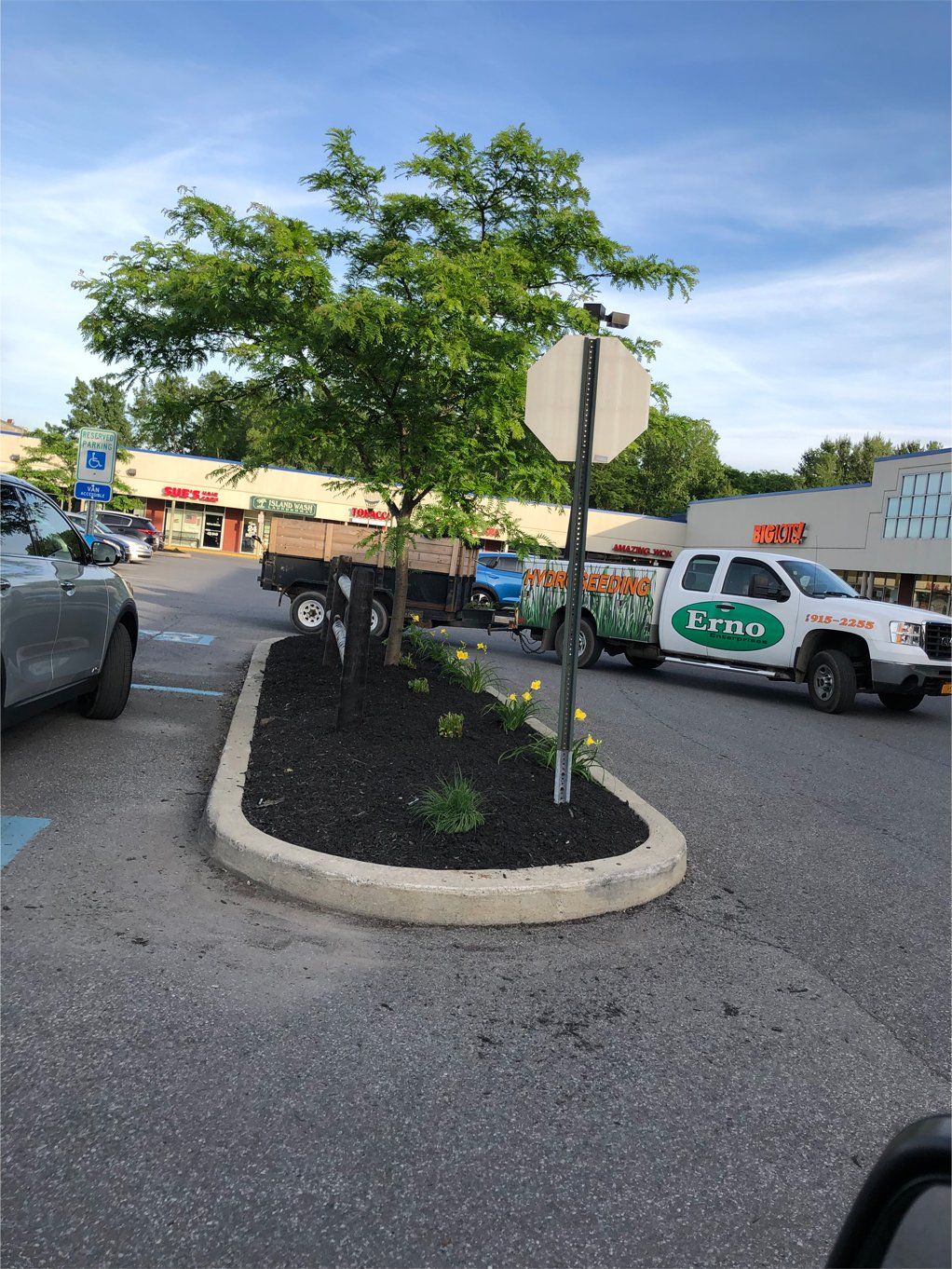 Commercial landscaping - shopping center parking lot
