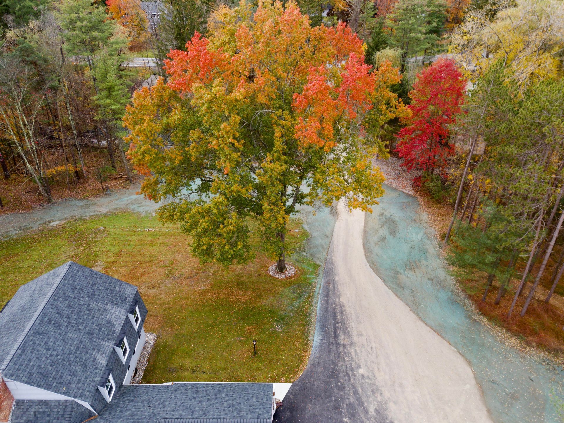 an aerial view of a house surrounded by trees and  hydroseeding near a dirt road .