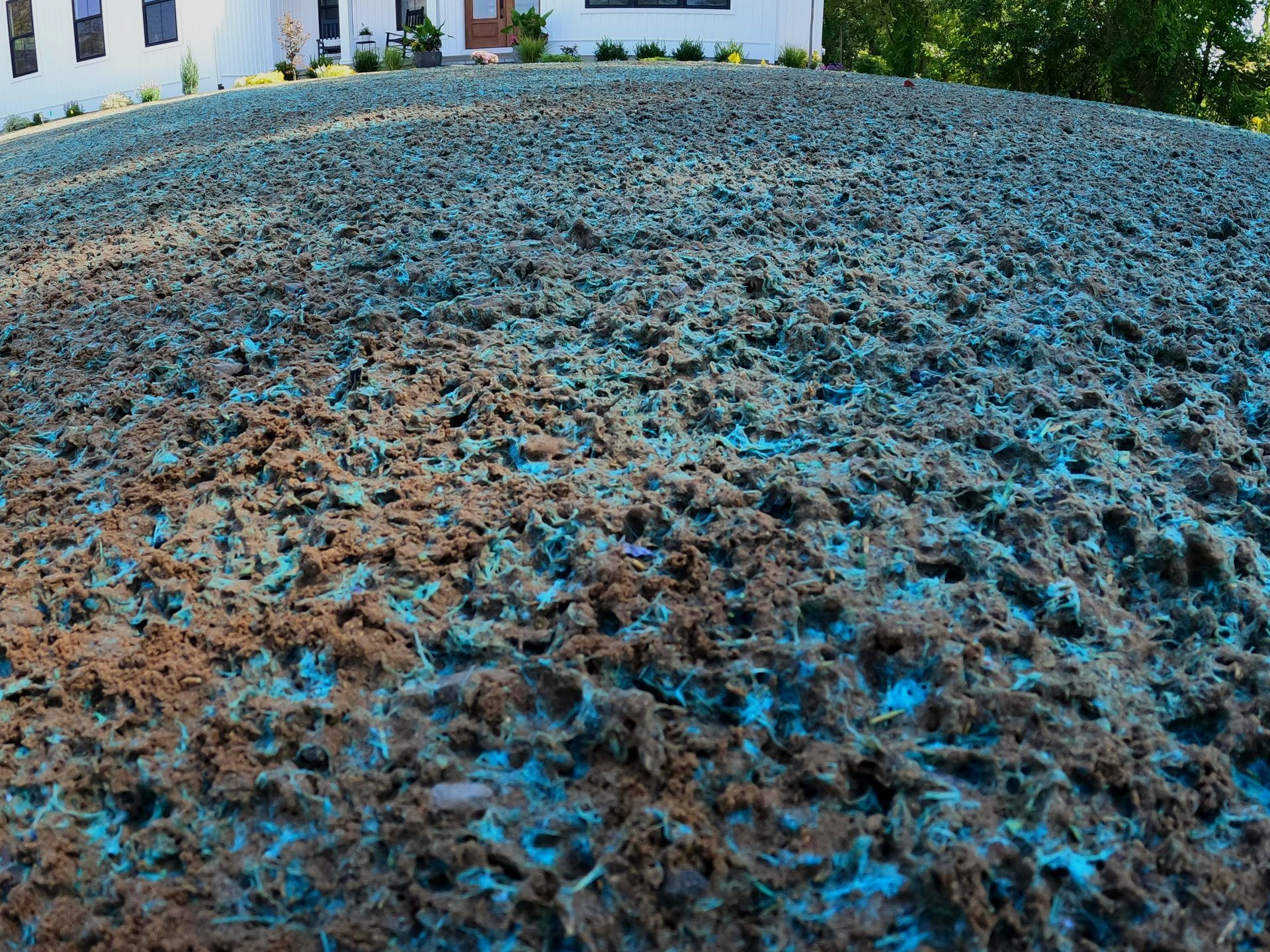 hydroseeding on the ground in front of a house .